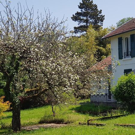 La Petite Sommiere Apartment Besancon Luaran gambar