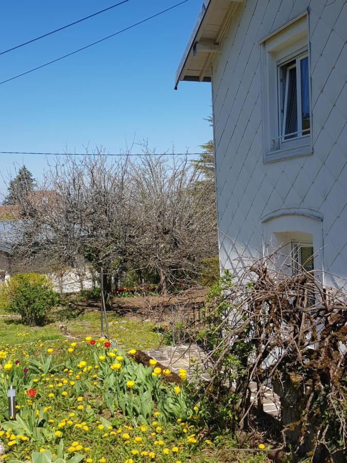 La Petite Sommiere Apartment Besancon Luaran gambar
