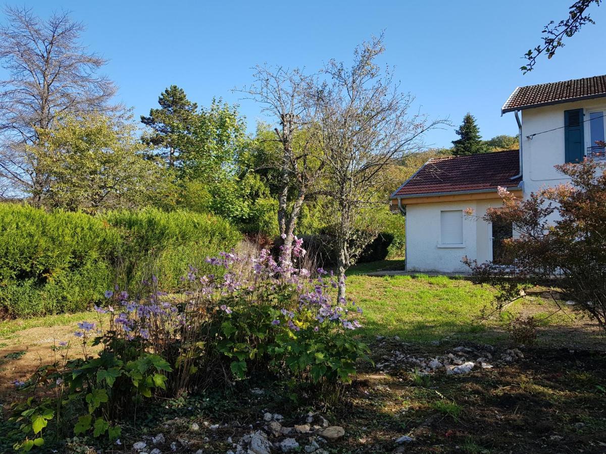La Petite Sommiere Apartment Besancon Luaran gambar