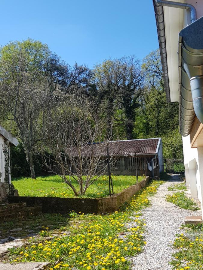 La Petite Sommiere Apartment Besancon Luaran gambar