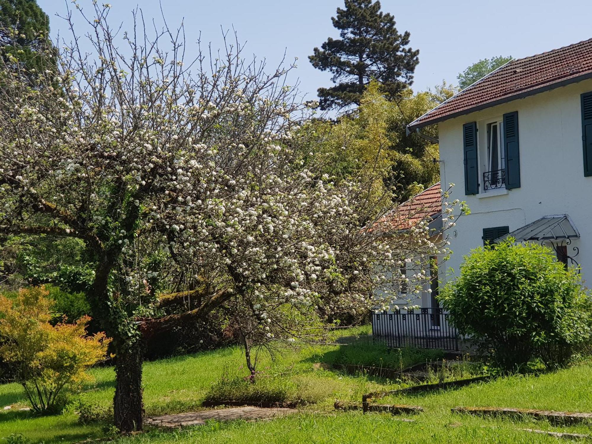 La Petite Sommiere Apartment Besancon Luaran gambar
